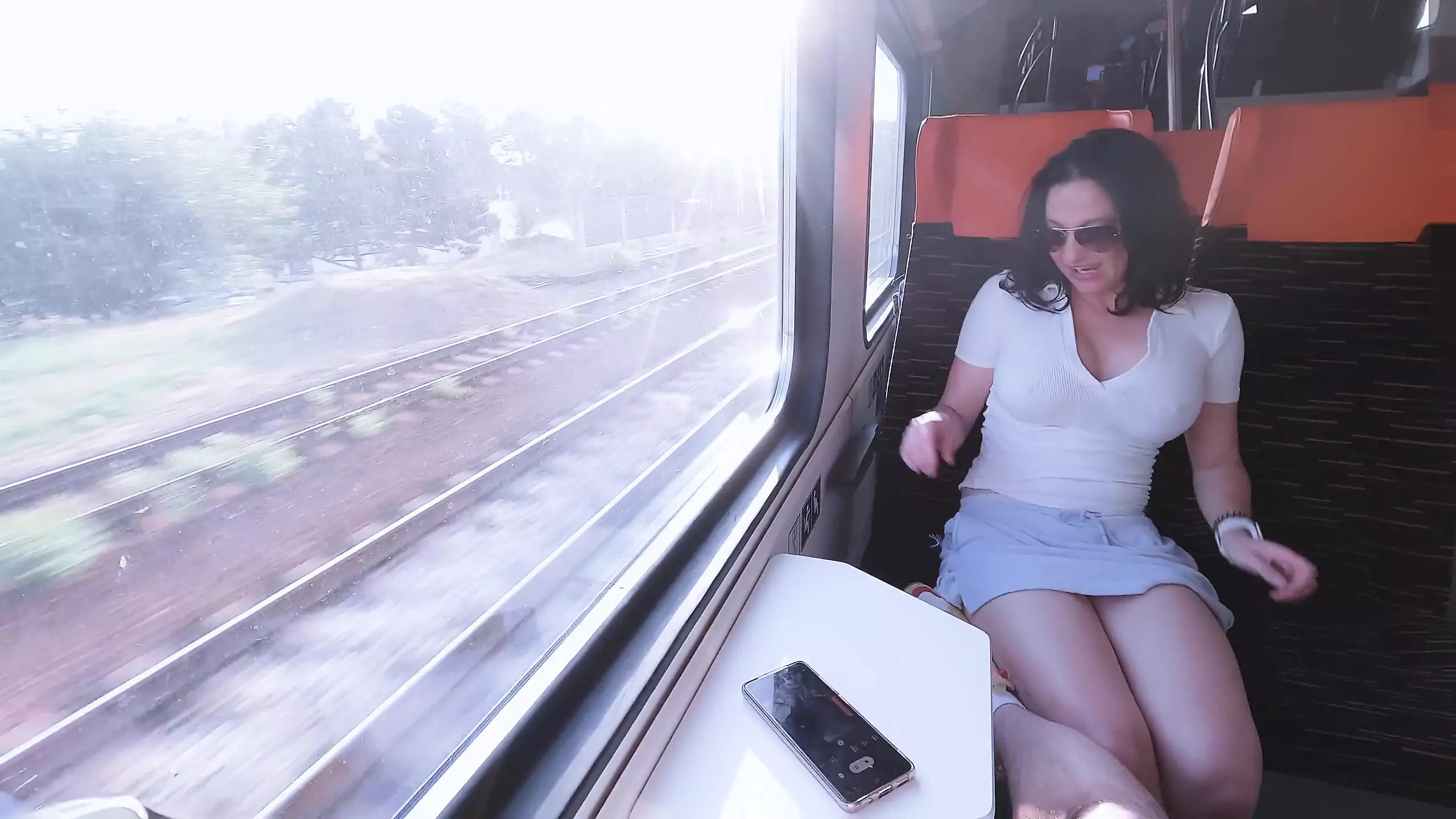 Very Risky Sex in Public on a Train with a Beautiful Woman