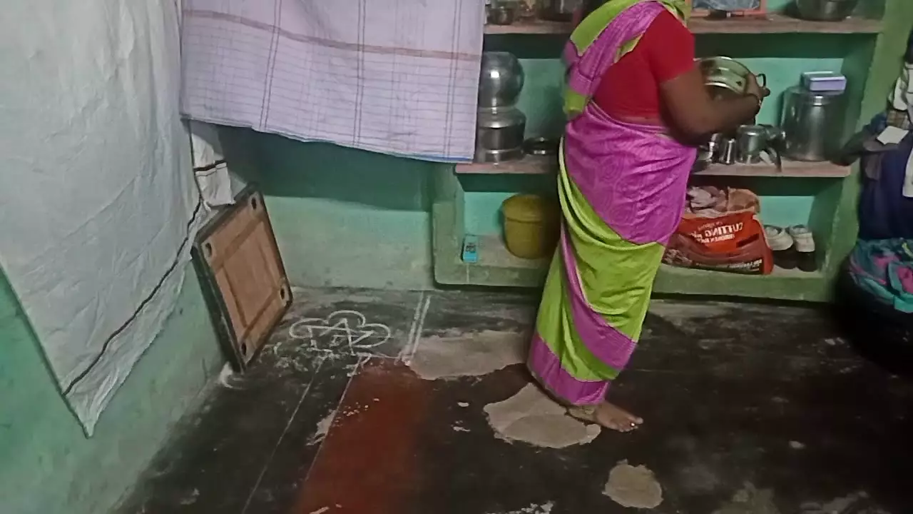 Desi aunty home cleaning sex with his house owner