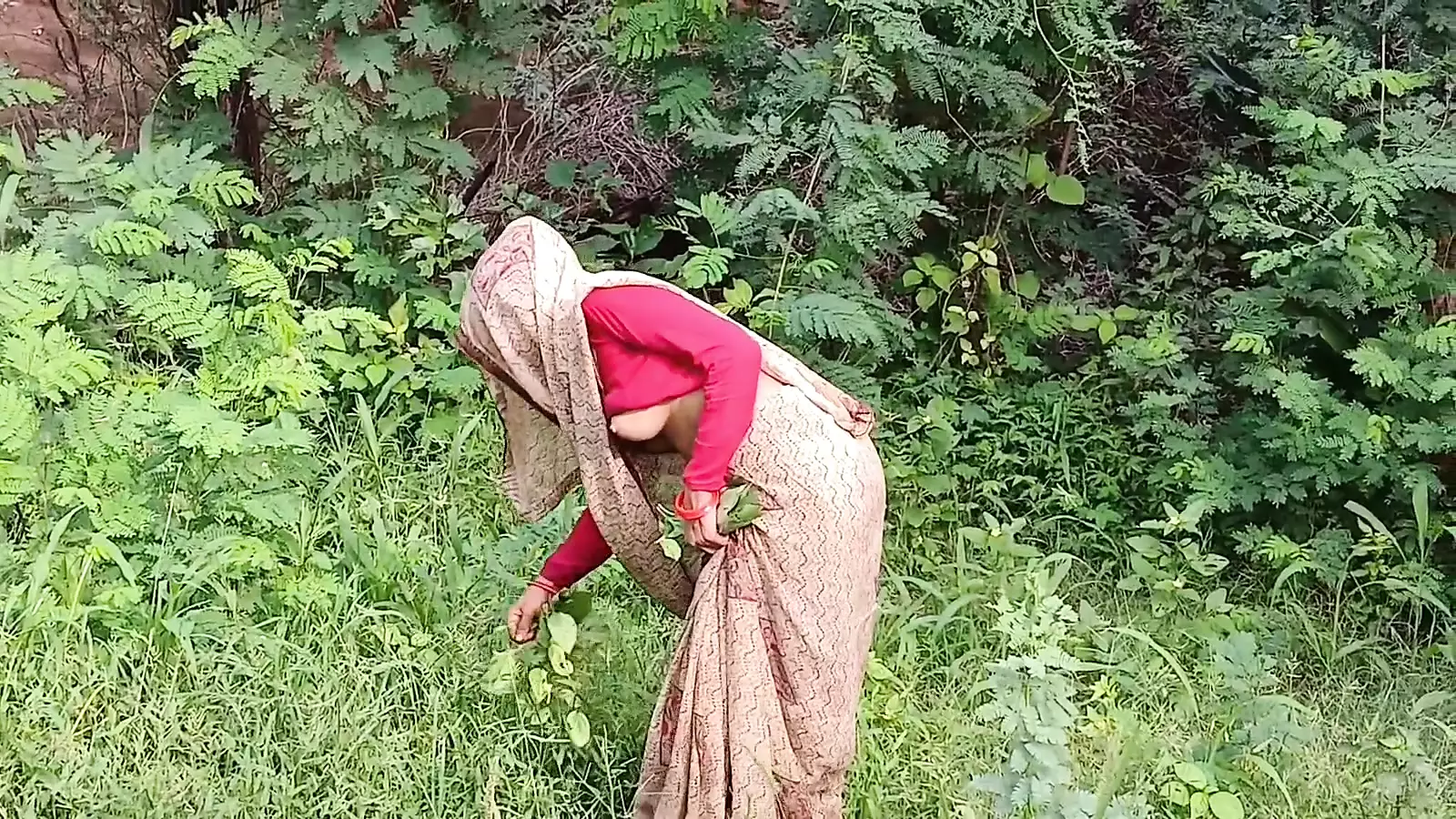 Jangal Mai bhabhi Chara Lenexa gyi aur buri fas gyi aur chudai